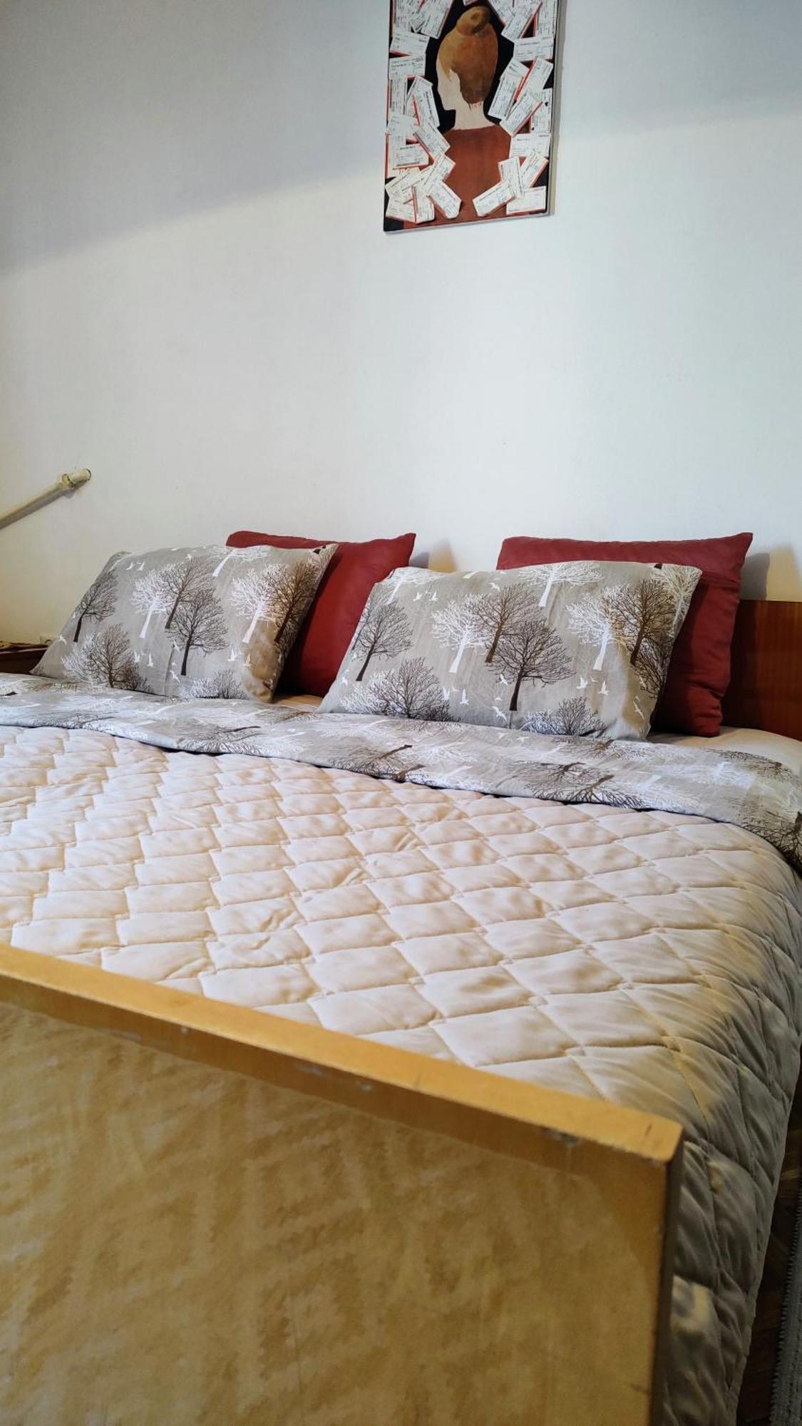 Digital Nomad Comfy Apartment,Foot Mountain Vodno And Millennium Cross,19 Min By Walk To Cener,Free Parking Skopje Exterior photo
