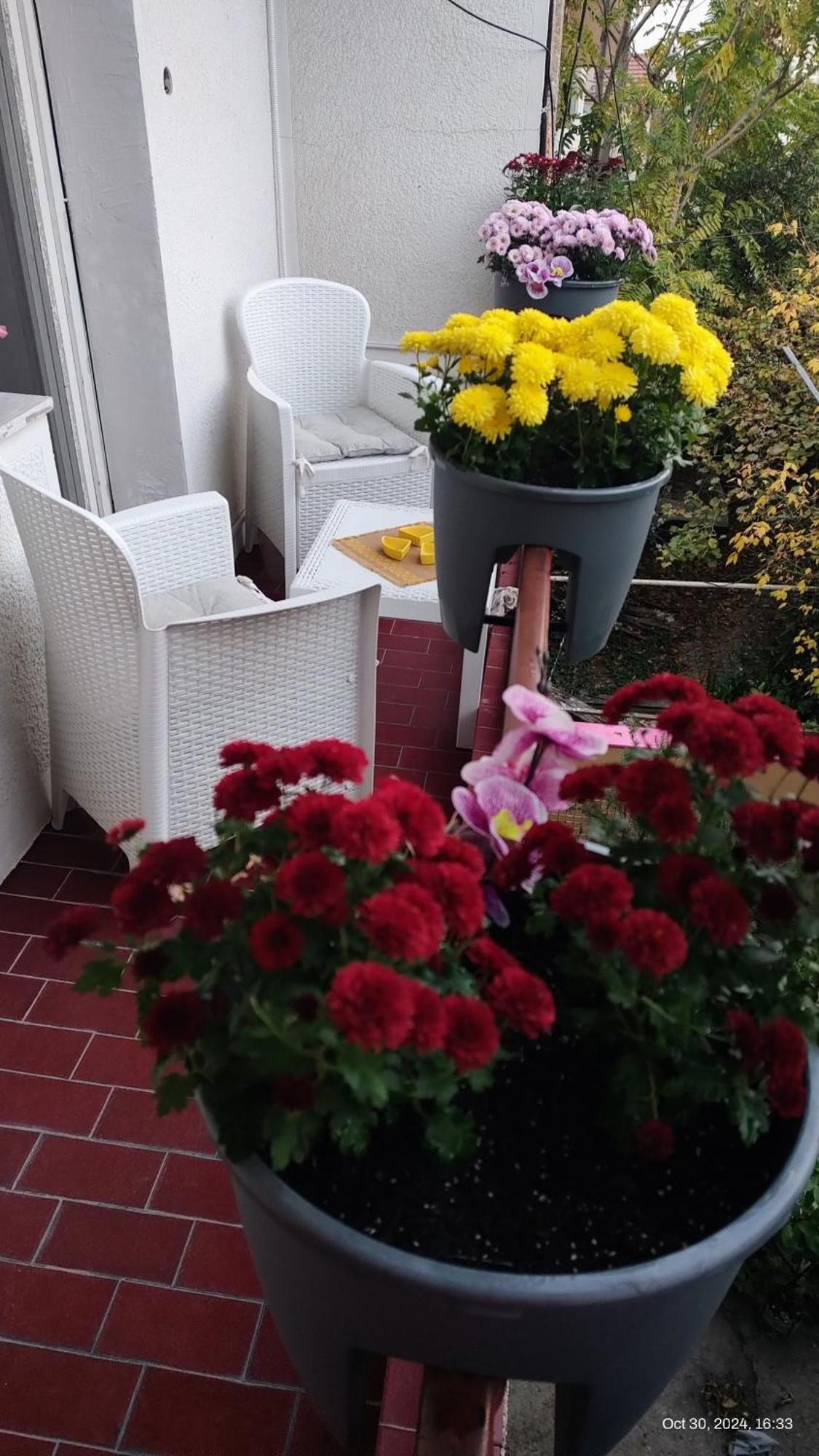 Digital Nomad Comfy Apartment,Foot Mountain Vodno And Millennium Cross,19 Min By Walk To Cener,Free Parking Skopje Exterior photo